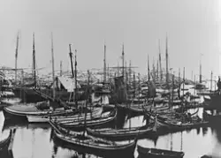 Bildet viser fembøringer, åttringer, og andre båter i havnen