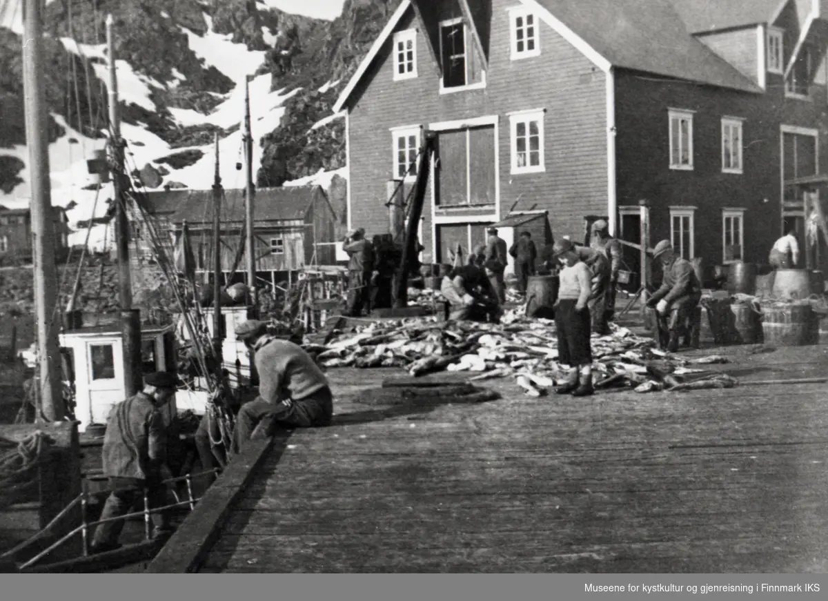 Kamøyvær. Folk arbeider med fisk på langkaia foran handelsmann Bruuns pakkhus. 1930-årene.