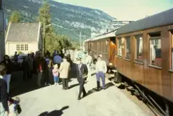 Norsk Jernbaneklubbs veterantog på Rollag stasjon