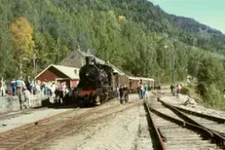 Damplokomotiv 24b 236 med Norsk Jernbaneklubbs veterantog på