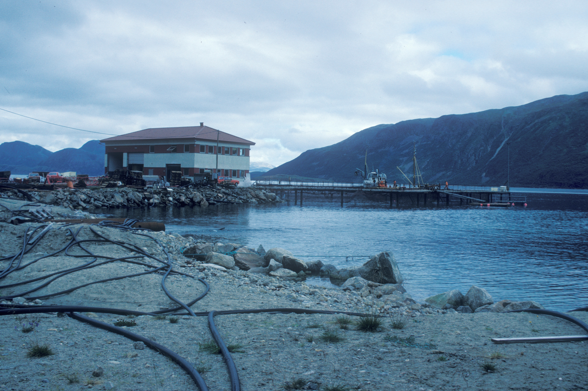 Tromsø 1985 : Oppdrettsanlegg
