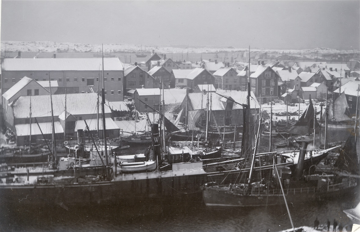Flere store skip ved nordre del av Risøy. Det nærmeste dampskipet tilhører H.M. Wrangell. I bakgrunnen er en stor rekke seilbåter på vei ut på fiskefeltet. På det høye. smale bygget til høyre i bildet står det Carl Amundsen Skibshandel.