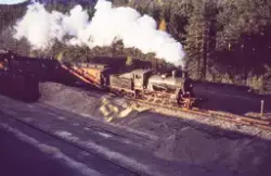 Damplokomotiv 24b nr. 236 med veterantog ved Flesberg
