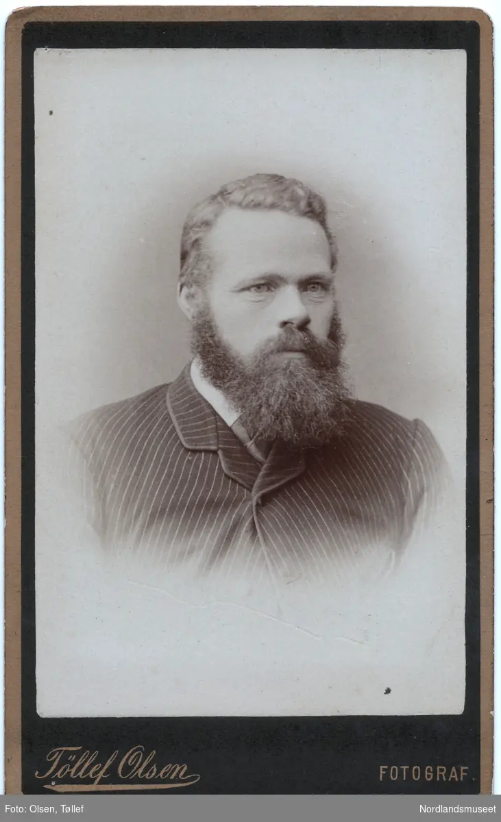 Portrett av en mann med skjegg. Brystbilde.