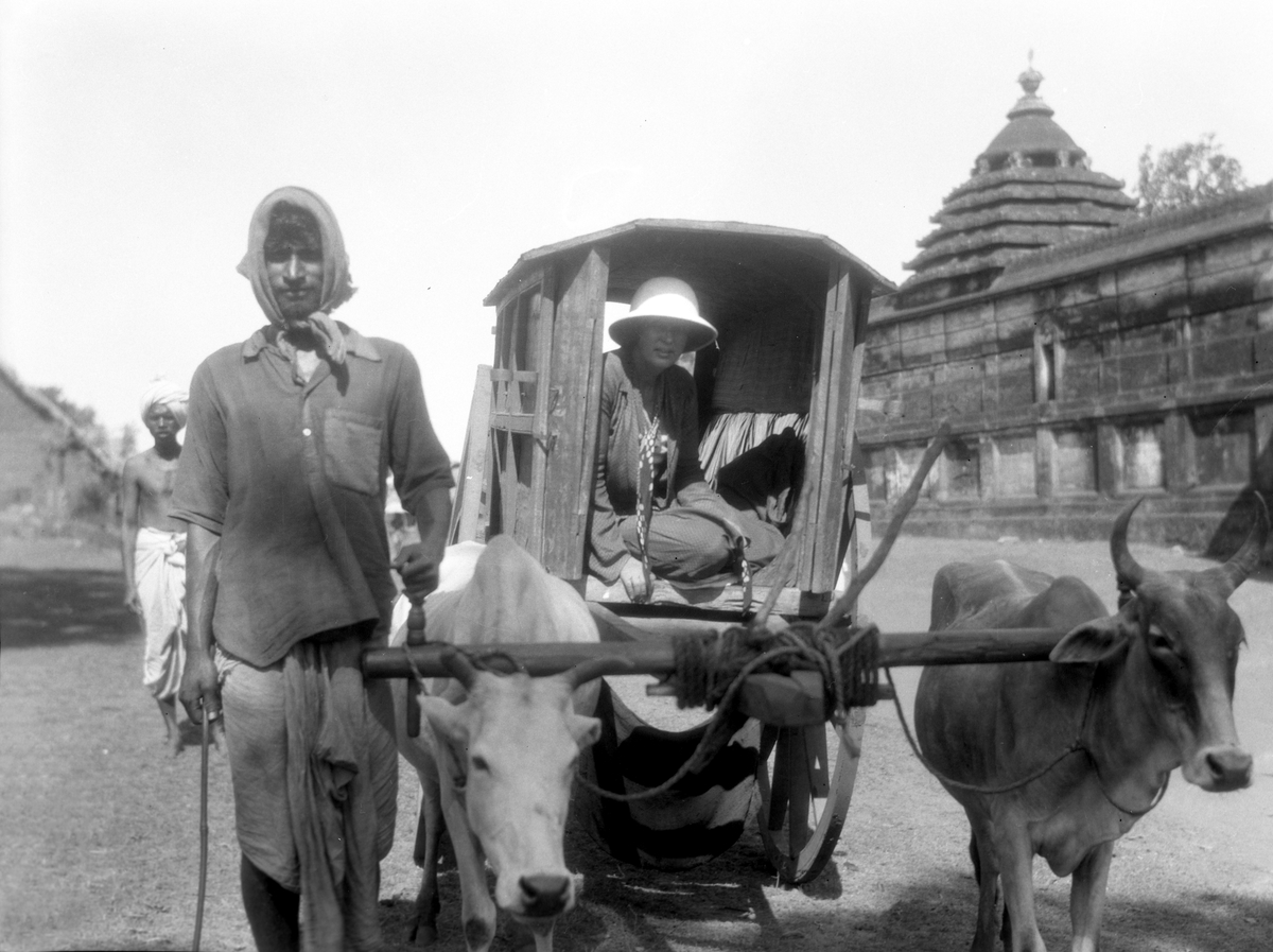 Elisabeth Meyer i oksekjerre i omegnen av Puri. Fotografi tatt i forbindelse med Elisabeth Meyers reise til India 1932-33.