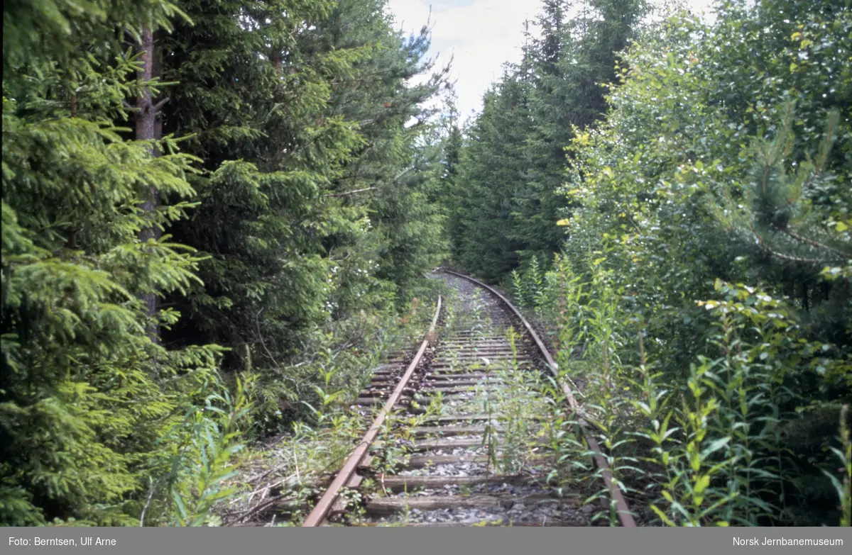 Gjengrodd spor mellom Reinsvoll og Bøverbru på nedlagte Skreiabanen