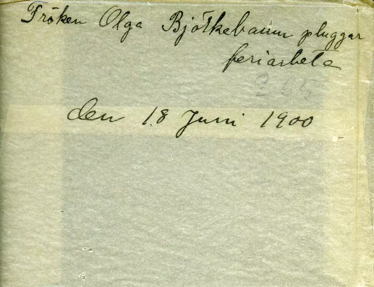 "Fröken Olga Björkebaum pluggar feriearbete den 18 juni 1900".
Foto troligen taget av Axel Pehrson som var sommargäst vid Sjöstugan, Sätra äng, Danderyd.