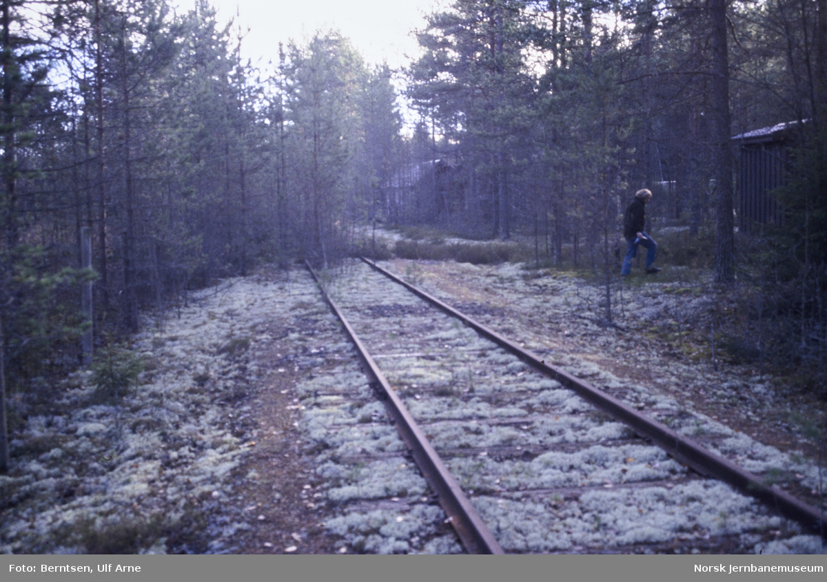 Sidespor i Gropa grustak mellom Skotterud og Magnor stasjoner på Kongsvingerbanen