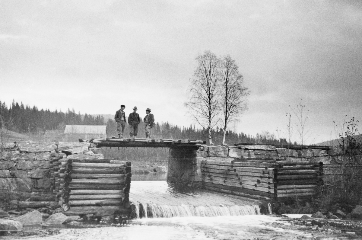 Tre karer – antakelig fløtingsfunksjonærer – poserer på Gjeddevassdammen i Sæteråa i Sør-Odal kommune i Hedmark høsten 1933. Bildet er tatt i motstrøms retning. Her var damarmene murt av bruddstein. Gjeddevassdammen hadde ett løp med «golving» eller «flakning» i botnen, og med steinfylte tømmerkister som skådammer i forlengelsen av damløpet. Dambrua var av tre. På den lå det fire luker som, i fløtingssesongen, kunne heves og senkes for å tilpasse vannstanden i den nedenforliggende delen av vassdraget fløternes behov. Sæteråa kommer fra fire små sjøer i grensetraktene mot Sverige - Sæterlisjøen, Skårillen, Grønsjøen og Mjøgsjøen. Også ved utløpene av alle disse fire sjøene var det dammer som gjorde det mulig å bruke dem som reservoarer for fløtinga. Det fantes også en fløtingsdam ved Sætersaga, i den nedre delen av det snaut to mil lange vassdraget, som renner inn i Glomma ved Disenå. Det året dette fotografiet ble tatt var det innmeldt 22 575 tømmerstokker til fløting i Sæteråa.