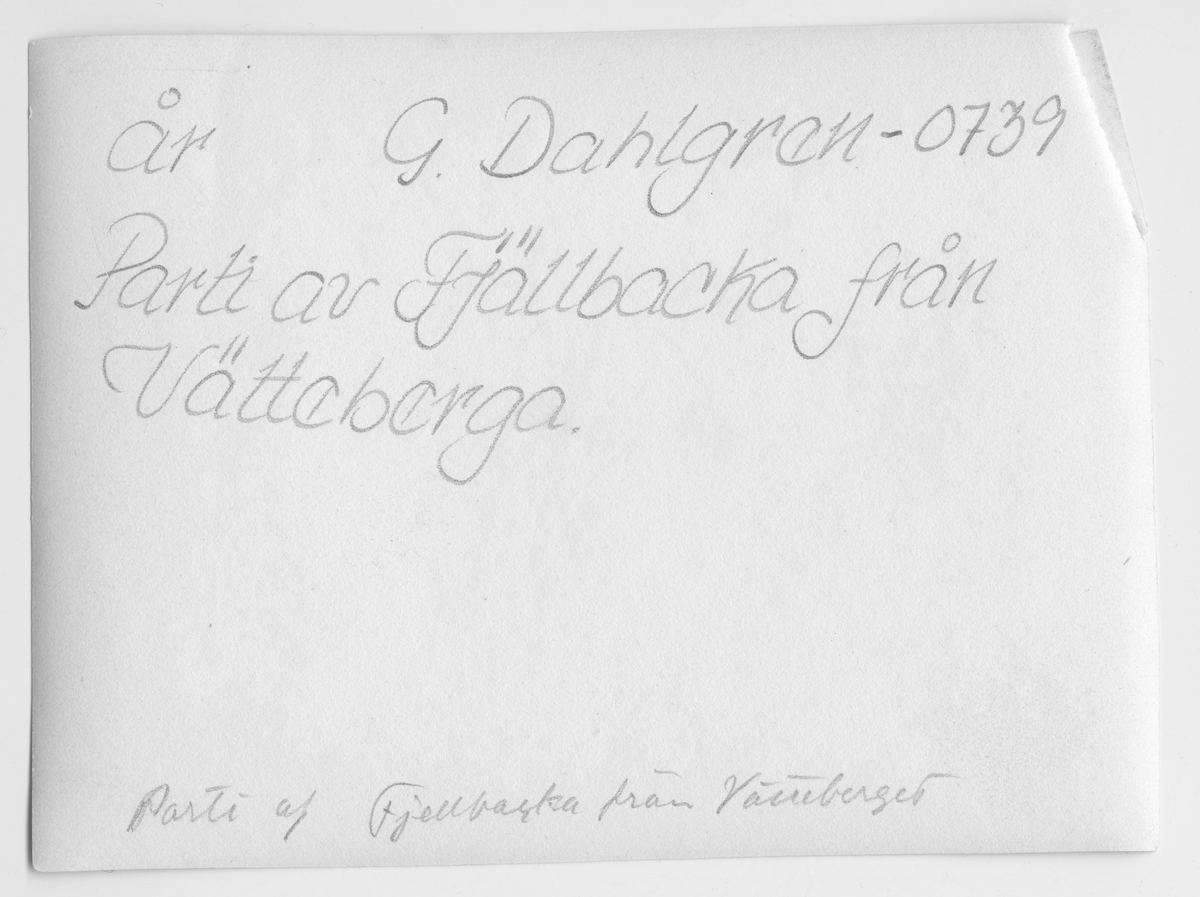 På kuvertet står följande information sammanställd vid museets första genomgång av materialet: Parti av Fjällbacka från Vätteberget.