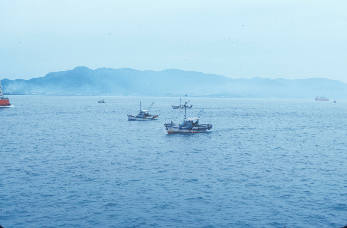 Motiv fra Japantur : Fiskebåter i fart, med kystlandskap i bakgrunnen