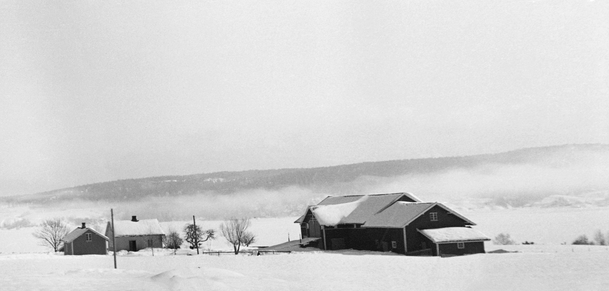 Vinterlandskap ved Ulvetangen i Skiptvet i Østfold, med Glomma i bakgrunnen. Dette er den høy re halvdelen av et todelt panoramabilde, tatt vinteren 1937, da man arbeidet med bygginga av Glennetangen lense, som, hadde sine mosemaskiner 3-4 kilometer lengre nede i elvløpet.
