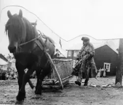Kølkjører under det historiske opptoget på Bergmannsdagen, a