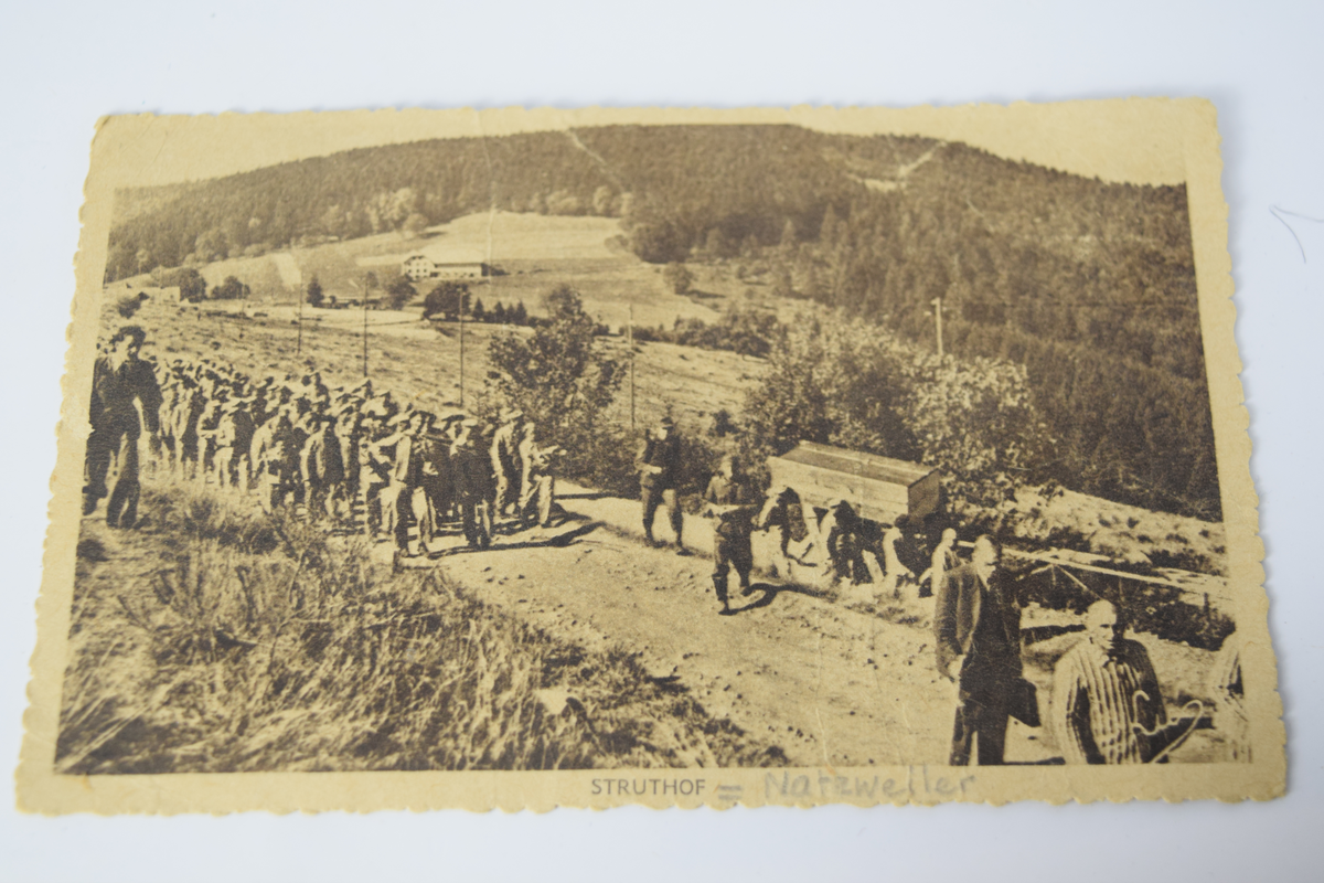 Postkort med bilde av fanger i gruppe på vei på en landevei. Bilde i sort-hvitt som viser stor gruppe fanger på vei med skogkledd ås i bakgrunnen. Blyantskrevet hilsen på baksiden. Rødt frimerke.