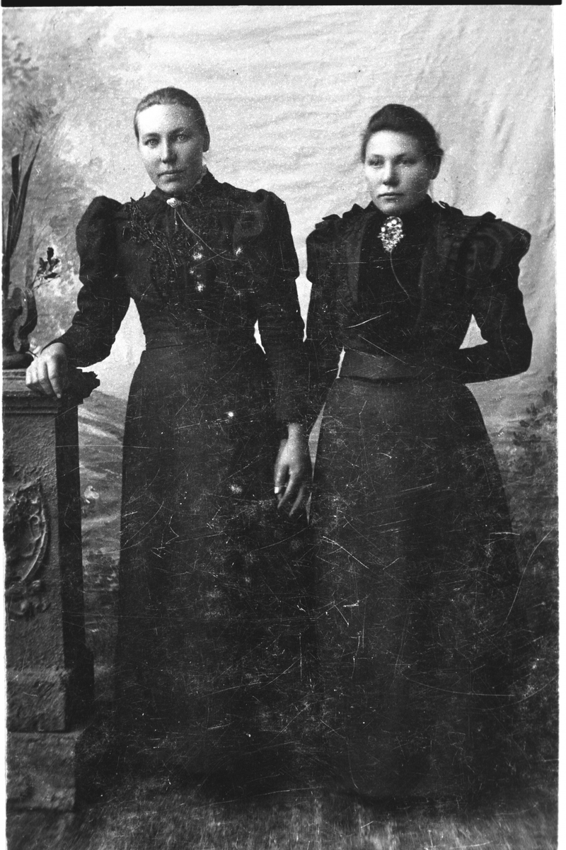 Portrett av 2 damer med kjole.