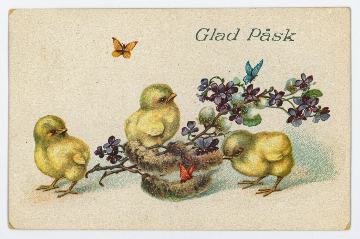 Påskkort med motiv av kycklingar, fjärilar och en kvist. Längst upp finns texten "Glad Påsk".
På baksidan finns ett grönt 10-öres frimärke med lejon. Kortet är poststämplat den 15/4-1922.
