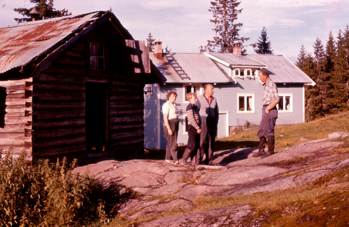 Framfor seterbua tilhørende Mellom-Bakke (Henry Kiste) ved Hajern i Komnes. 
Fv. Asta Johansen, Magne Thidemansen, Harald Johansen, Arne Saga. 
Huset i bakgrunnen var Arne og Gerda Saga sin bolig.