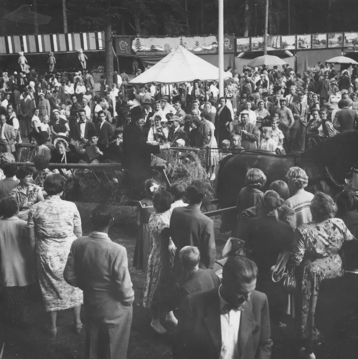 Turinge marknad 1956. Torparen har kommit fram till marknaden med sin höskrinda
