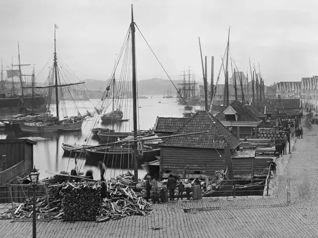 Lossing av ved i Bergen i perioden 1865-1877.