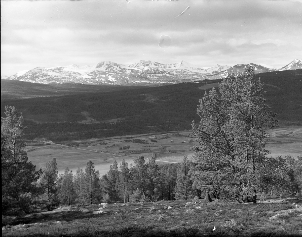 Utsikt, mot Rondane og Folldal
