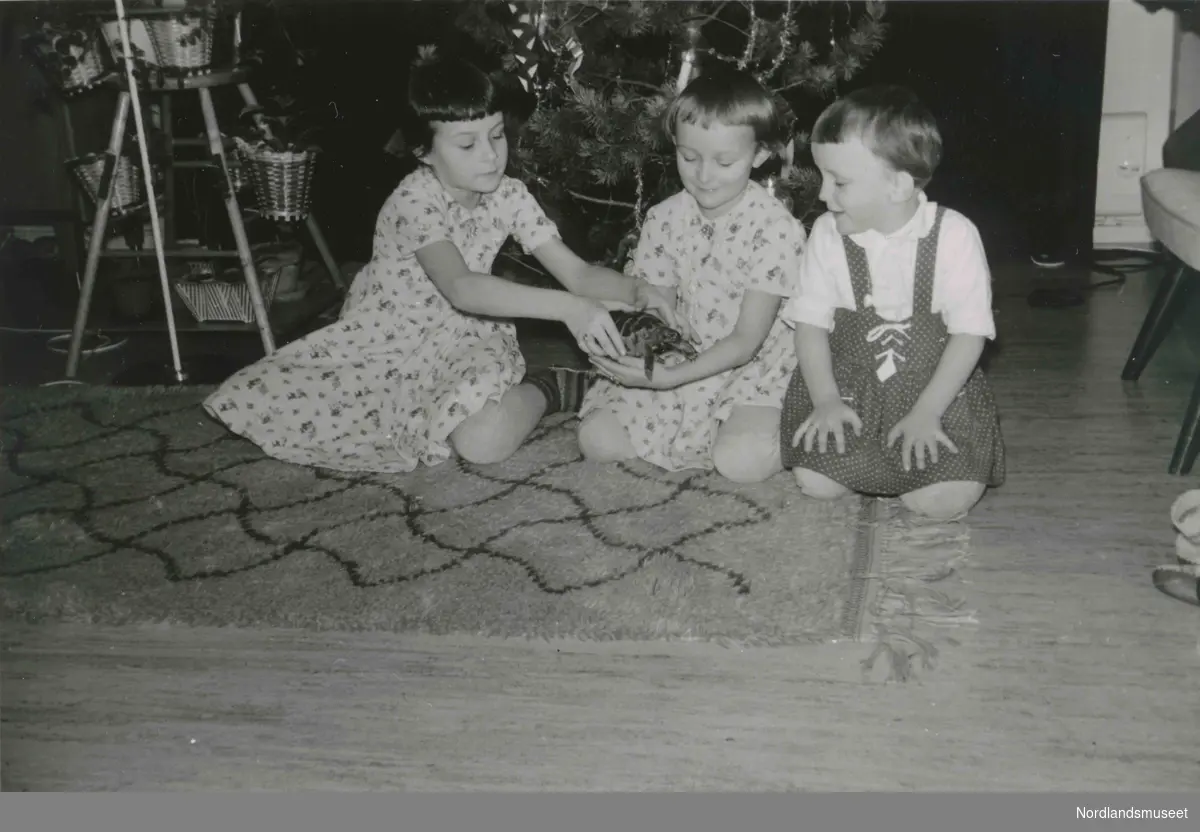 Tre barn sitter fremfor et juletre. Det midterste holder en skilpadde. Kristin Hunstad, Therese Hunstad og Siv Hunstad, Bodø.