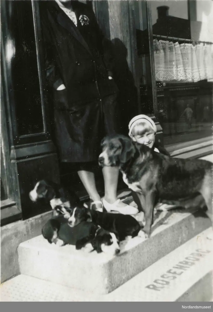 En kvinne, et barn og en hund med tre hvalper på en trapp merket med "Rosenborg".