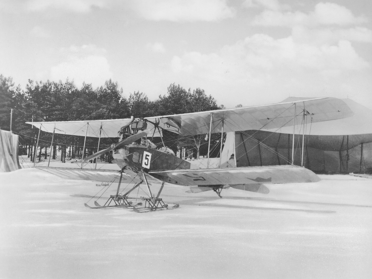Marint flygplan Albatros B.IIa nr 5 med skidor står framför tälthangarer, vintertid, omkring 1920-1924.