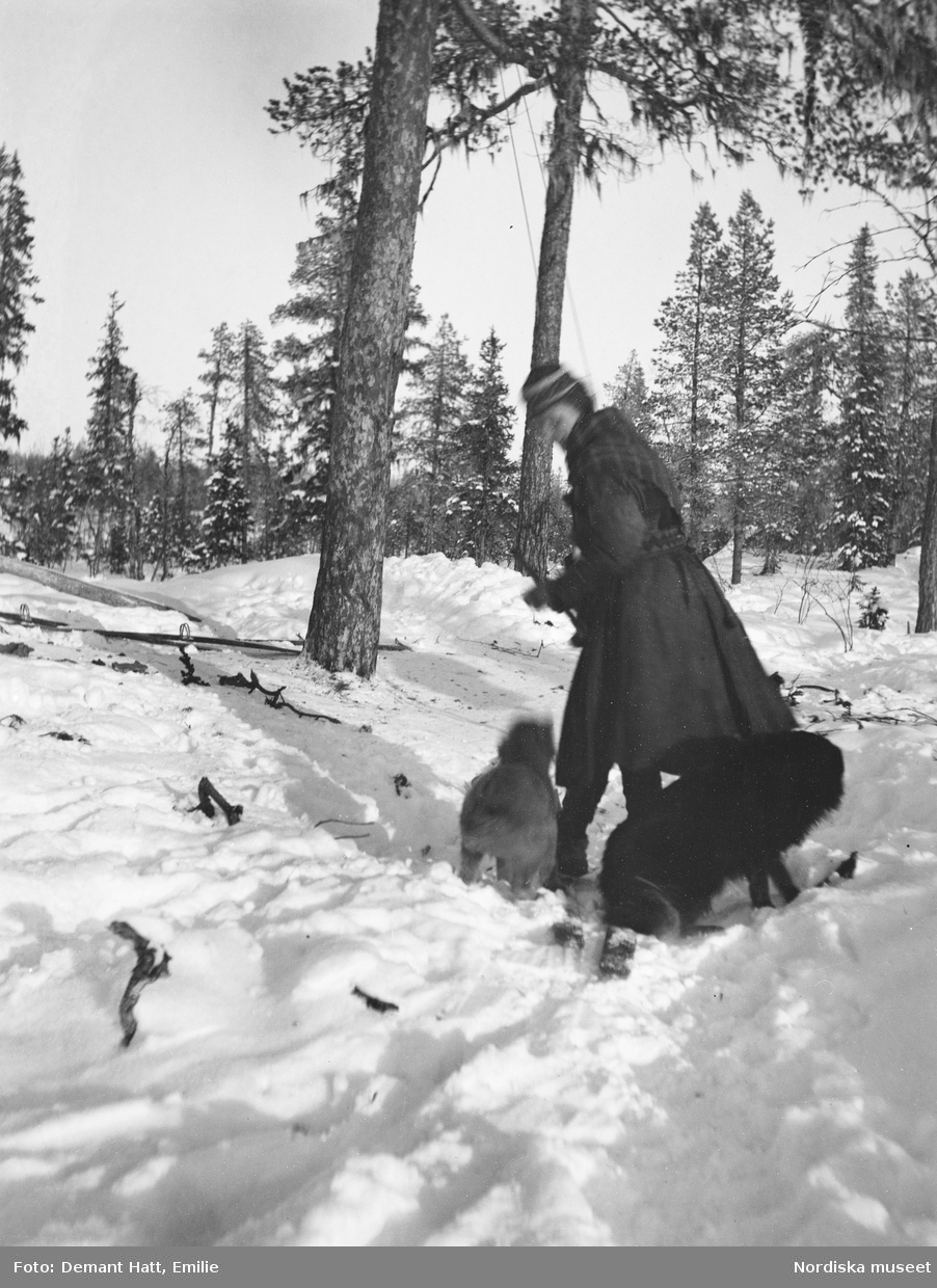 Kvinna, Emilie Demant Hatt, leker med två hundar, varav den mörka heter Rill, i snön. Troligen under höstflyttningen vid Laimo. Bilden ingår i en serie fotografier tagna av Emilie Demant Hatt i Sapmi mellan åren 1907 och 1916.