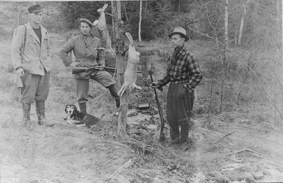 Harejakt ved Kvisleseteråsen, ca. 1955. Fra venstre: Inge Skatvedt, Ole Kåsa, Martin Skatvedt og hunden Hei.