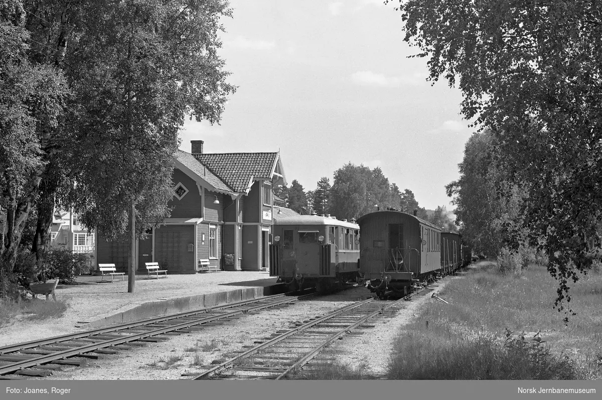 Kryssing på Hornnes stasjon mellom blandet tog til Byglandsfjord og persontog til Grovane. I persontoget bensinmotorvogn Bmbo 1 nr. 2674.