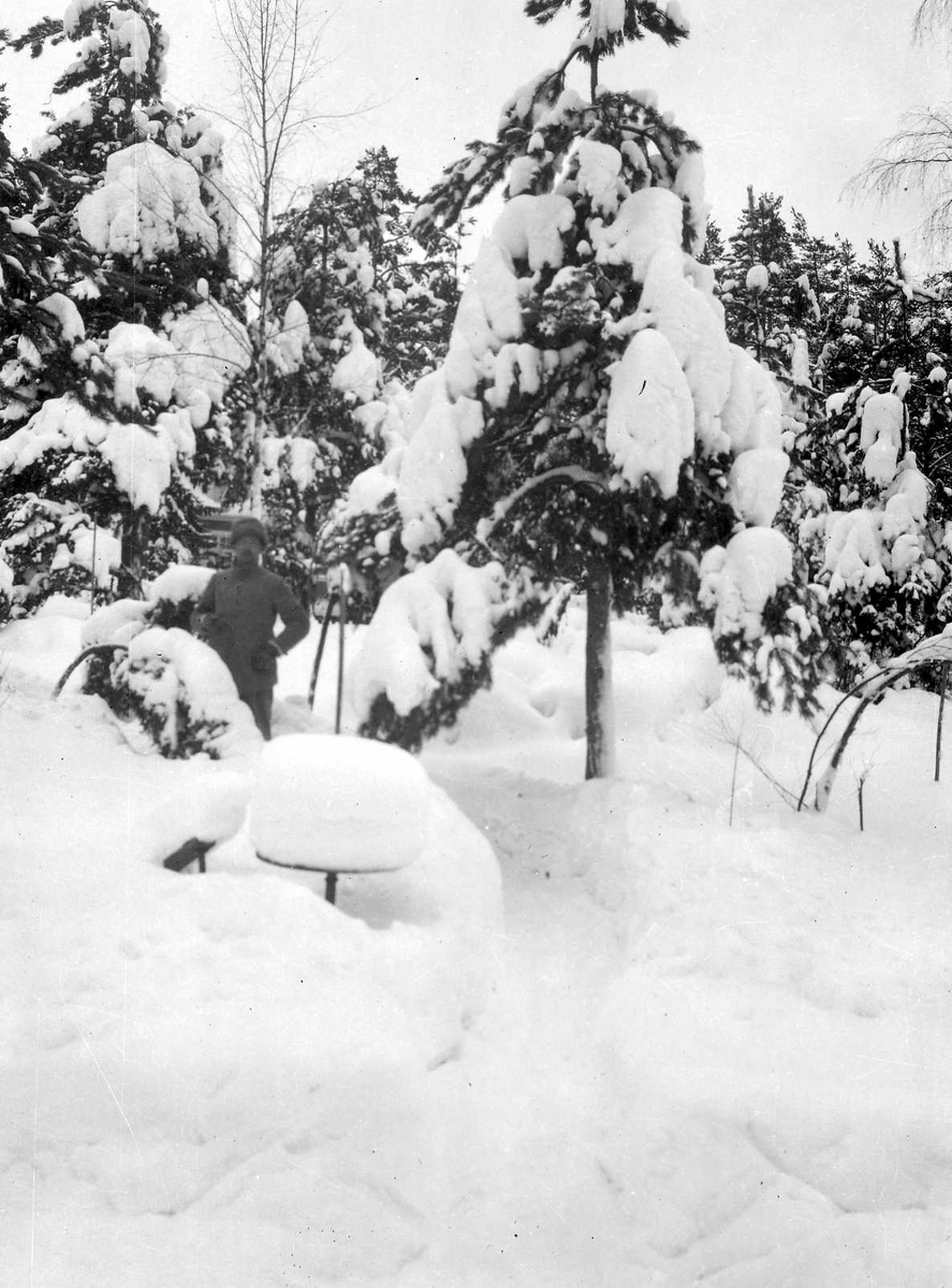 Vinterbild. En man bland snötyngda träd.