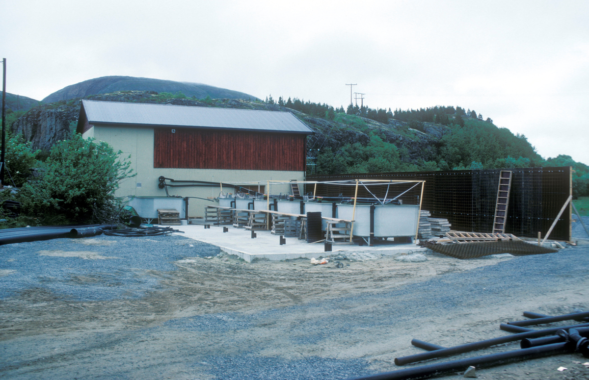 Tex-Fisk A/S, Bjugn 1987 : Byggeaktivitet ved et settefiskanlegg