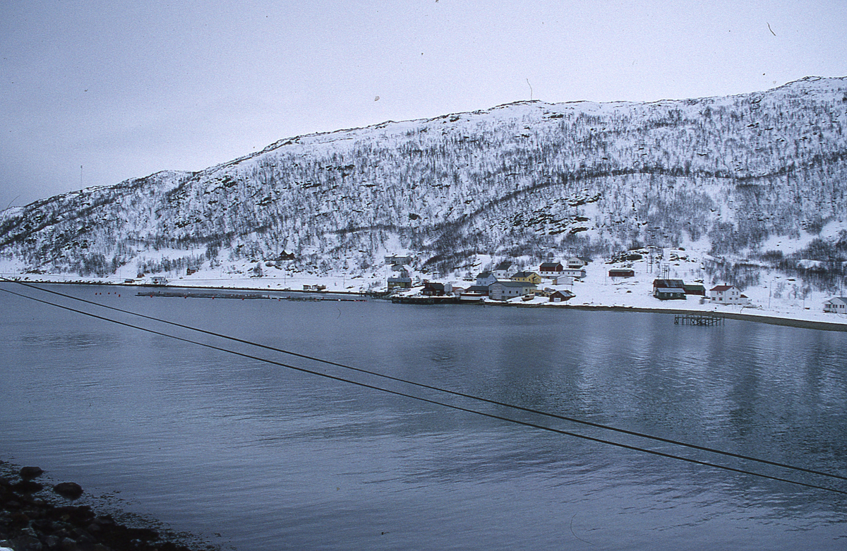 Forsøksanlegg, Kårvika på Ringvassøy, UiT (1994) : Prospektbilde, kystlandskap og bebyggelse.