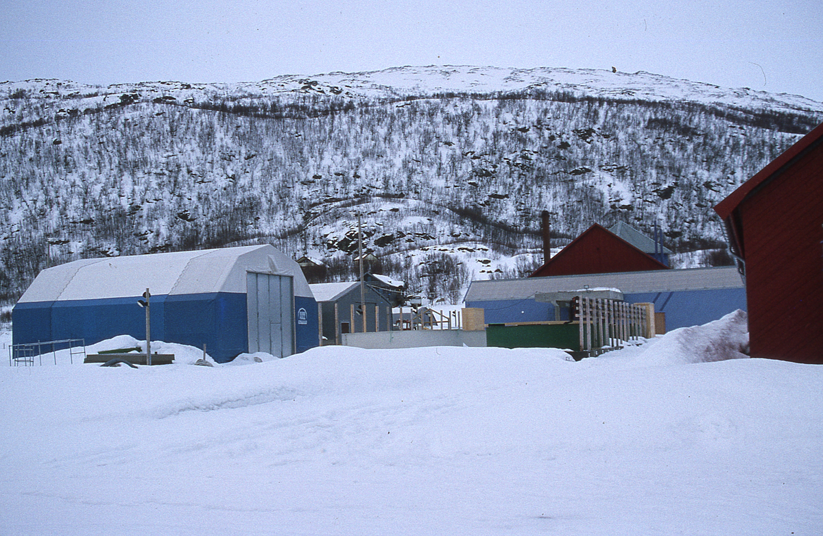 Forsøksanlegg, Kårvika på Ringvassøy, UiT (1994) : Utsikt mot noen bygninger