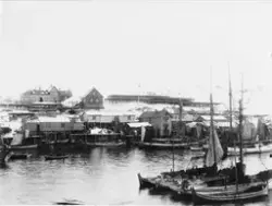 Fiskebåter i havn i Sørvågen i Lofoten. Bygninger og fiskehj