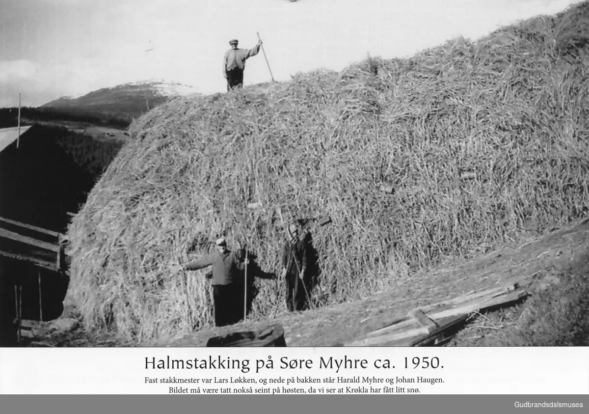 Halmstakking på Søre Myhre ca 1950.