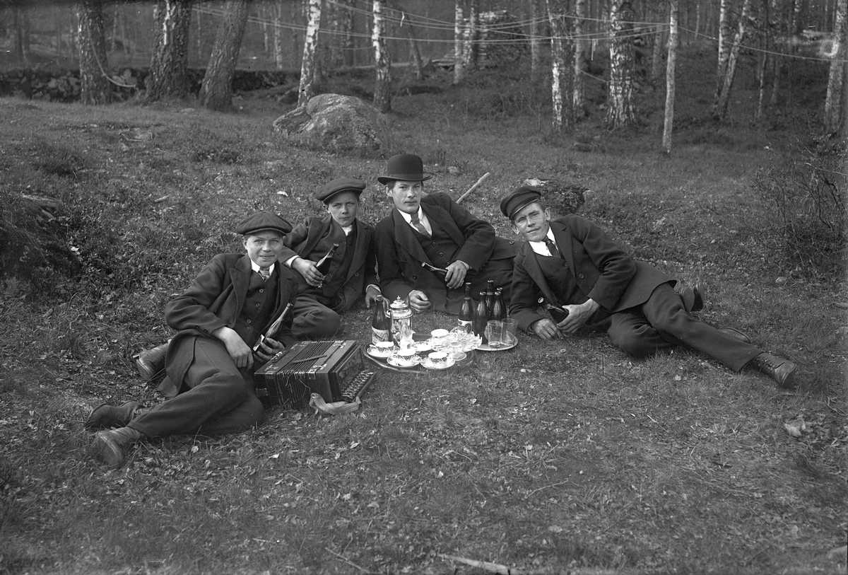 Fyra män på picknick