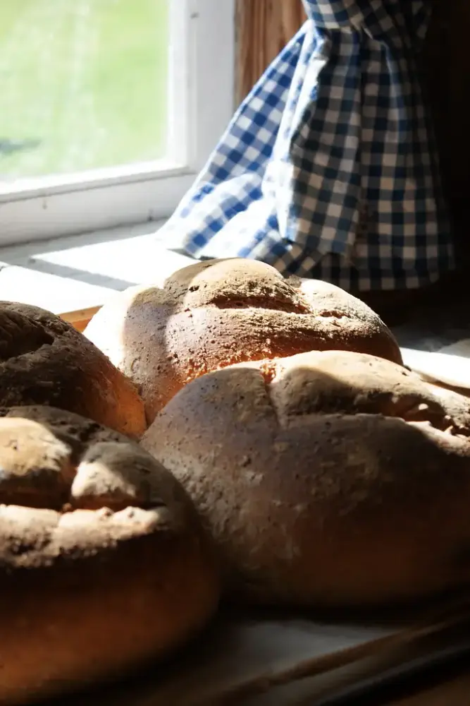 Steinsovnbakte brød rykende ferske fra bakedag på Rosvoll.