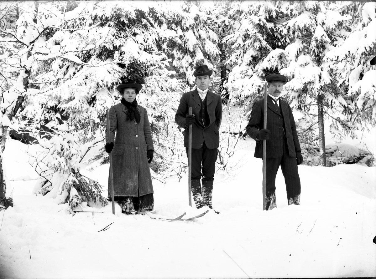Portrett av søsknene Inga Isaksdatter (f. 1889), Ole Isaksen (Romsdalen) (f. 1893) og Peder Romsdalen (Lystjærn) (f.1887) på ski.

Fotosamling etter fotograf og skogsarbeider Ole Romsdalen (f. 23.02.1893).