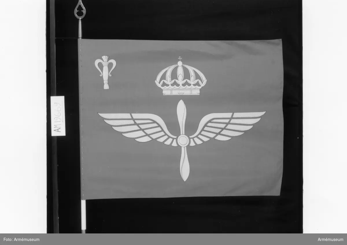 Fanans mittmotiv består av flygvapnets emblem, en bevingad propeller krönt av en kunglig krona. I övre inre hörnet finns en vasakärve. Motiven är tryckta på duken som är av syntetmaterial. På stångens doppsko står ingraverat "Vaktfana tillverkad 1986".
