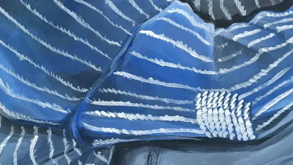 Bøte
