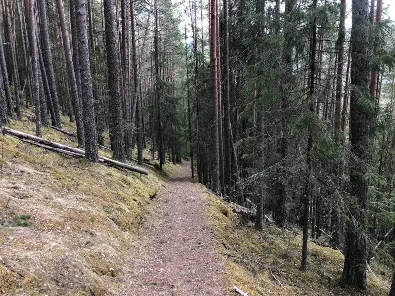 skog