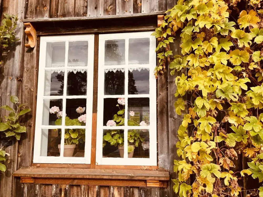 Høst på Rindal skimuseum. Høstfarger rundt vindu.