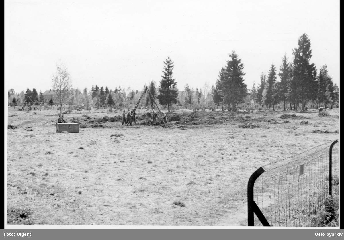 Rydding / Fjerning av småskog. Arbeidere ved stubbebrytere. (Jfr. bilde A-20145/Uae/0005/012)