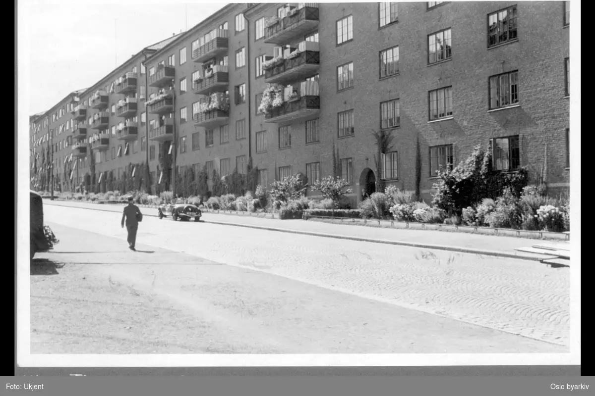Waldemar Thranes gate. Forhager med blomsterbed og busker. Leiegårdsbebyggelse med villvin og balkonger.