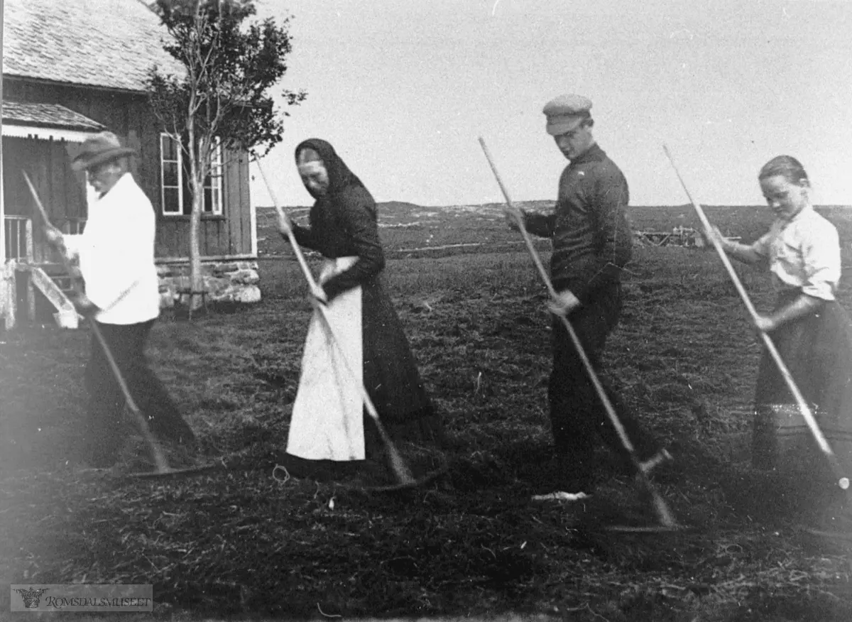 FR0066-00001.jpg, Slåttonn i Stavika, på Nyvoll ca 1910. .Lærer Iver Arnesen Stavik, kone «Rønog», sønn Ivar og Petra Pedersen fra Bjørnsund.