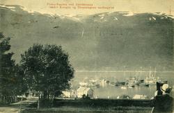 Fra Kroningsreisen i 1906..Fikserflåten ved Åndalsnes under 