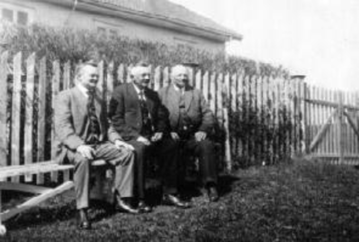 Ringsaker, Sveinhaug gård, gruppe 3 branntakstmenn, fra venstre: Johannes Windju (1874-1931), Lars Antonsen Tokstad (1868-1931) og Ole M. Saugstad (1868-1931)
