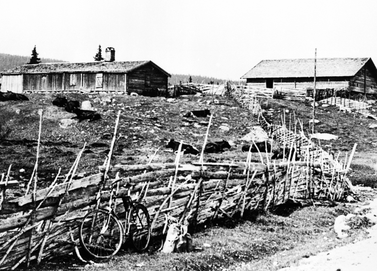 To seterhus, størhus på Åkersetra, Ringsakerfjellet. Skigard, sykkel, ryggsekk.