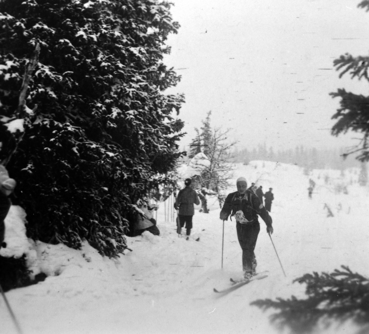 Trygve Sønsteby (F. 1921), i Kvarstadseterlia, Birkebeinerrennet 1947, første og eneste gang han gikk fra Rena.